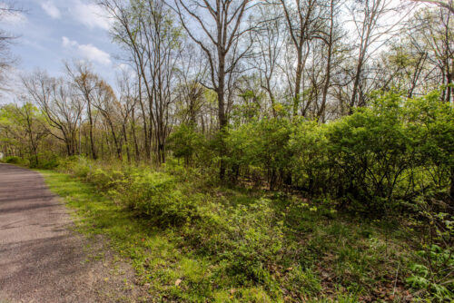 56,57 Summit Drive, Mackinaw, IL