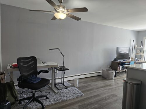 1319 Ogden Avenue #3, Downers Grove, IL