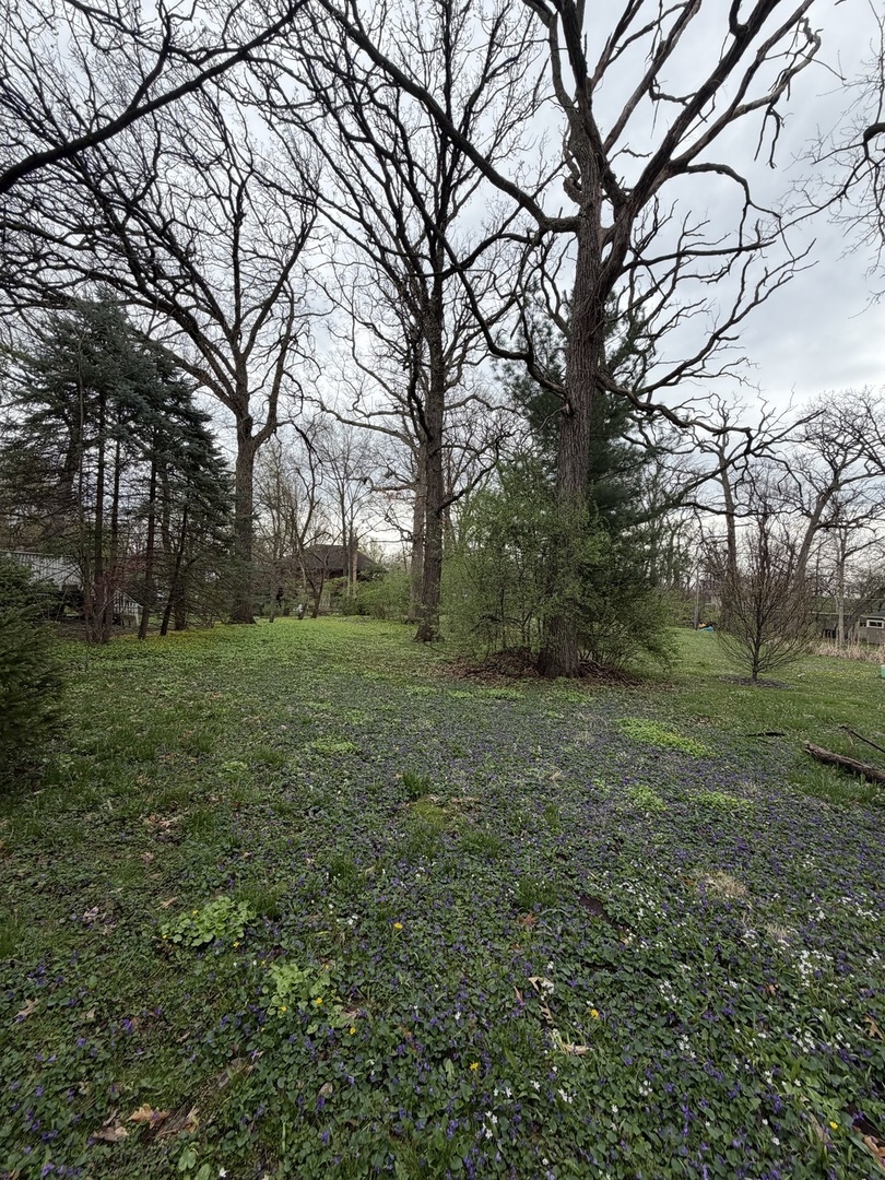 11407 Hiawatha Lane, Indian Head Park, IL