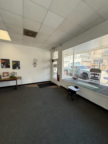 116 Calhoun Street, Woodstock, IL