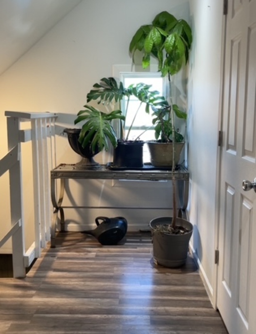 1248 W 49th Place, Chicago, IL