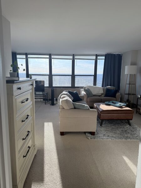 1560 N Sandburg Terrace #3709, Chicago, IL