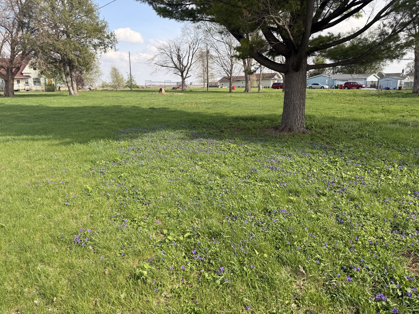 210 N Maple Street, Magnolia, IL