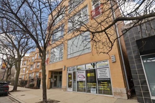 1040 E 47th Street #3N, Chicago, IL
