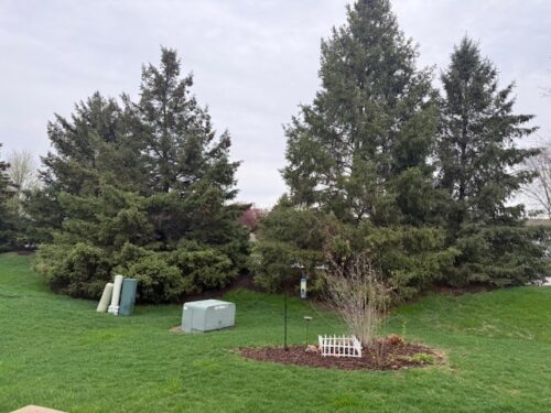 1702 Countryside Drive, Shorewood, IL