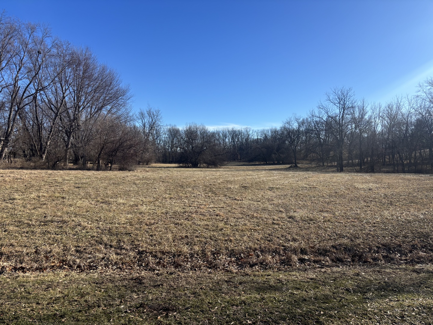 Lot 1473/1474 Chevy Chase Drive, Varna, IL