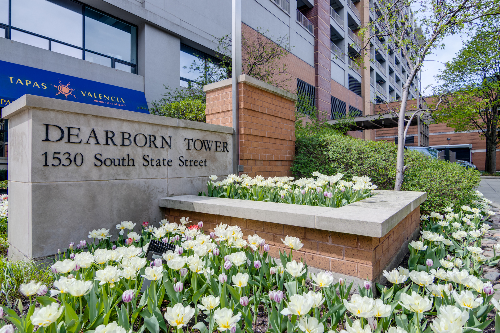 1530 S State Street #421, Chicago, IL