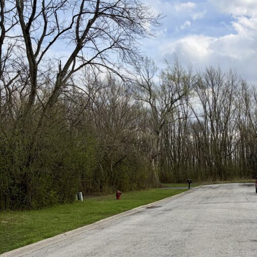 879 Campbell Avenue, Chicago Heights, IL