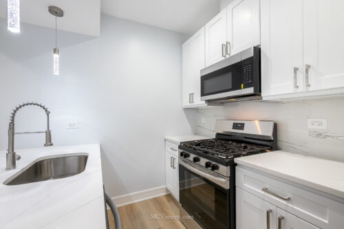 1713 S Jefferson Street, Chicago, IL