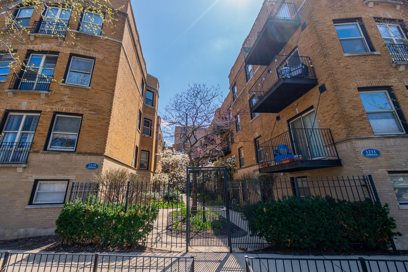 1231 W Greenleaf Avenue #2, Chicago, IL