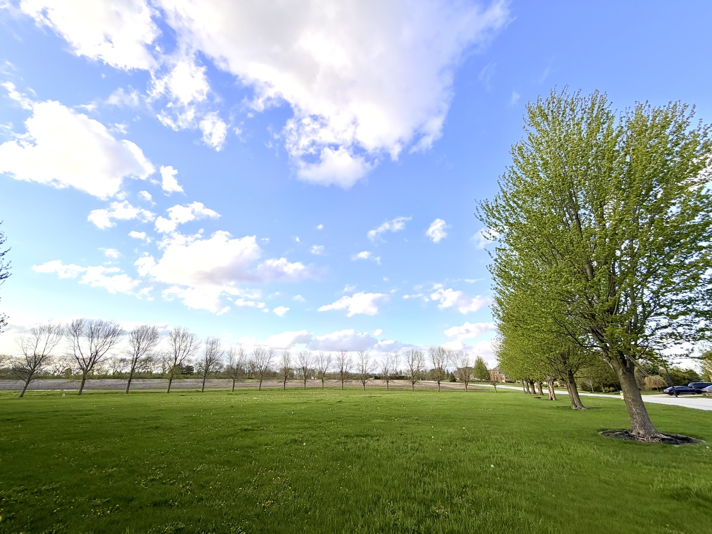 MERLOT BLANC Court, Bourbonnais, IL