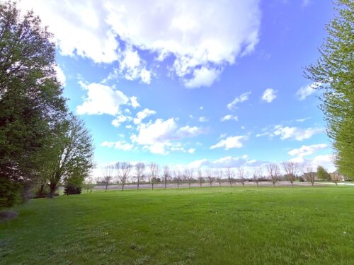 MERLOT BLANC Court, Bourbonnais, IL