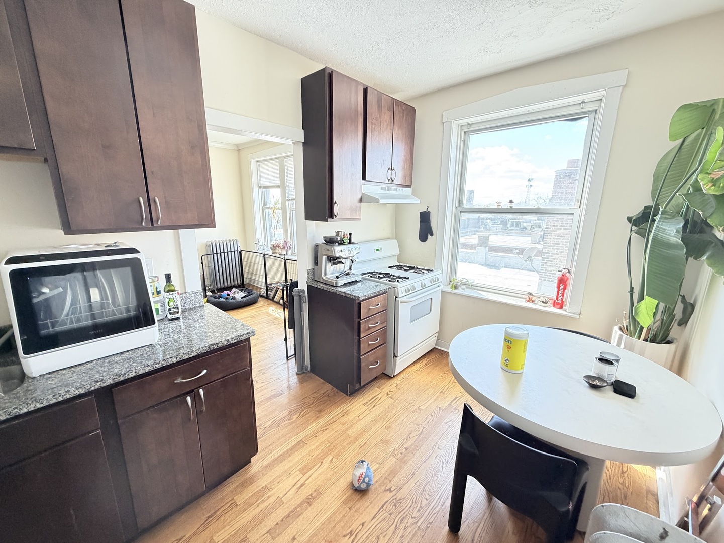 3155 W Augusta Boulevard #3B, Chicago, IL