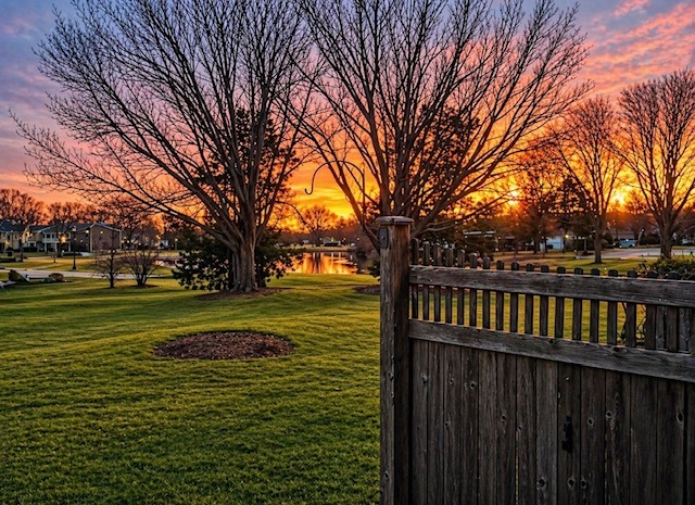 1477 S County Farm Road #1-1, Wheaton, IL