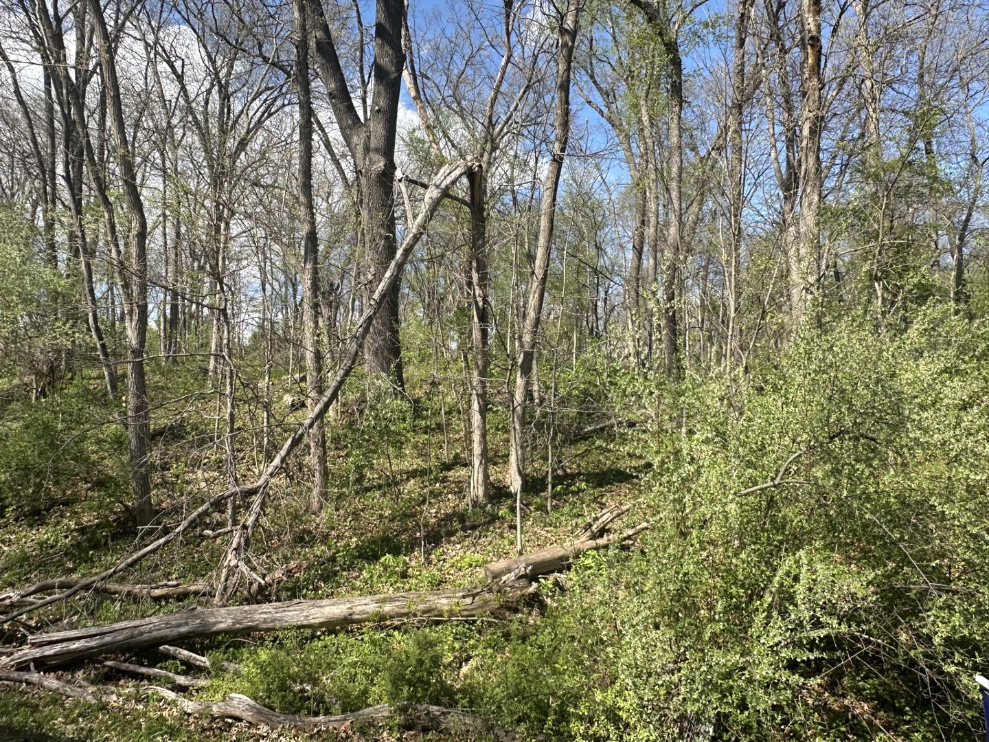 Lake Thunderbird Hills, Putnam, IL
