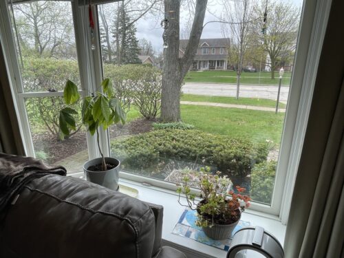 1624 W WEATHERSFIELD Way, Schaumburg, IL