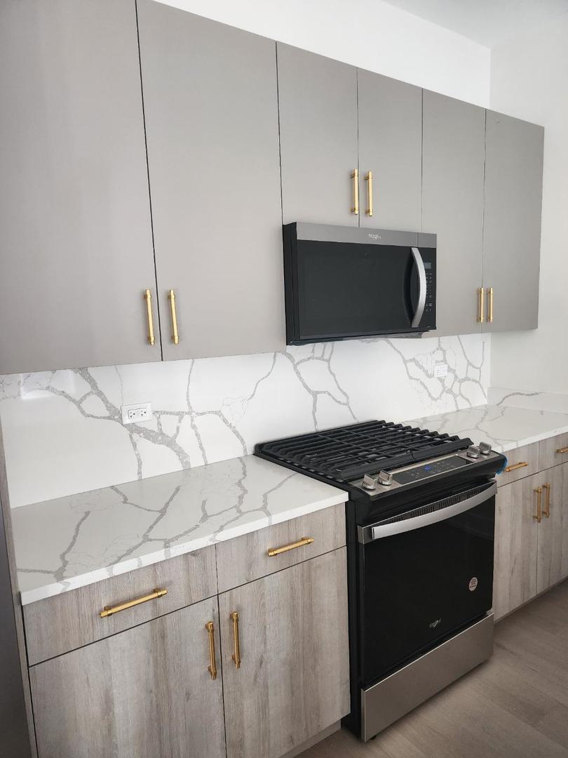 4625 S Michigan Avenue #1, Chicago, IL