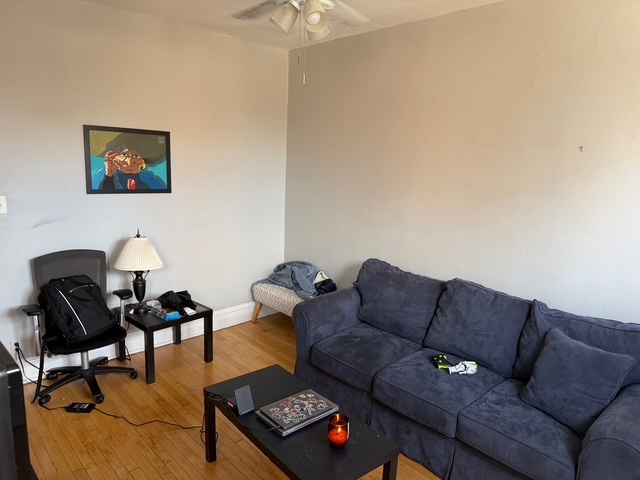 1933 N Damen Avenue #3, Chicago, IL