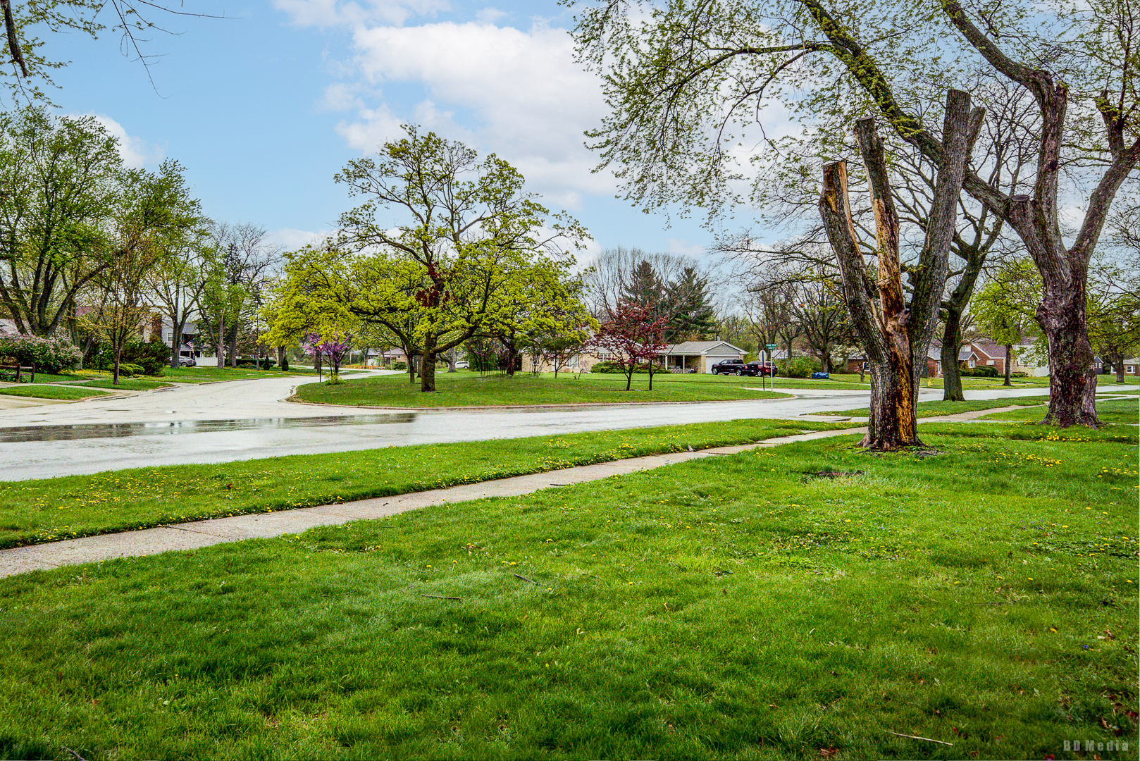 1115 Campbell Avenue, Chicago Heights, IL