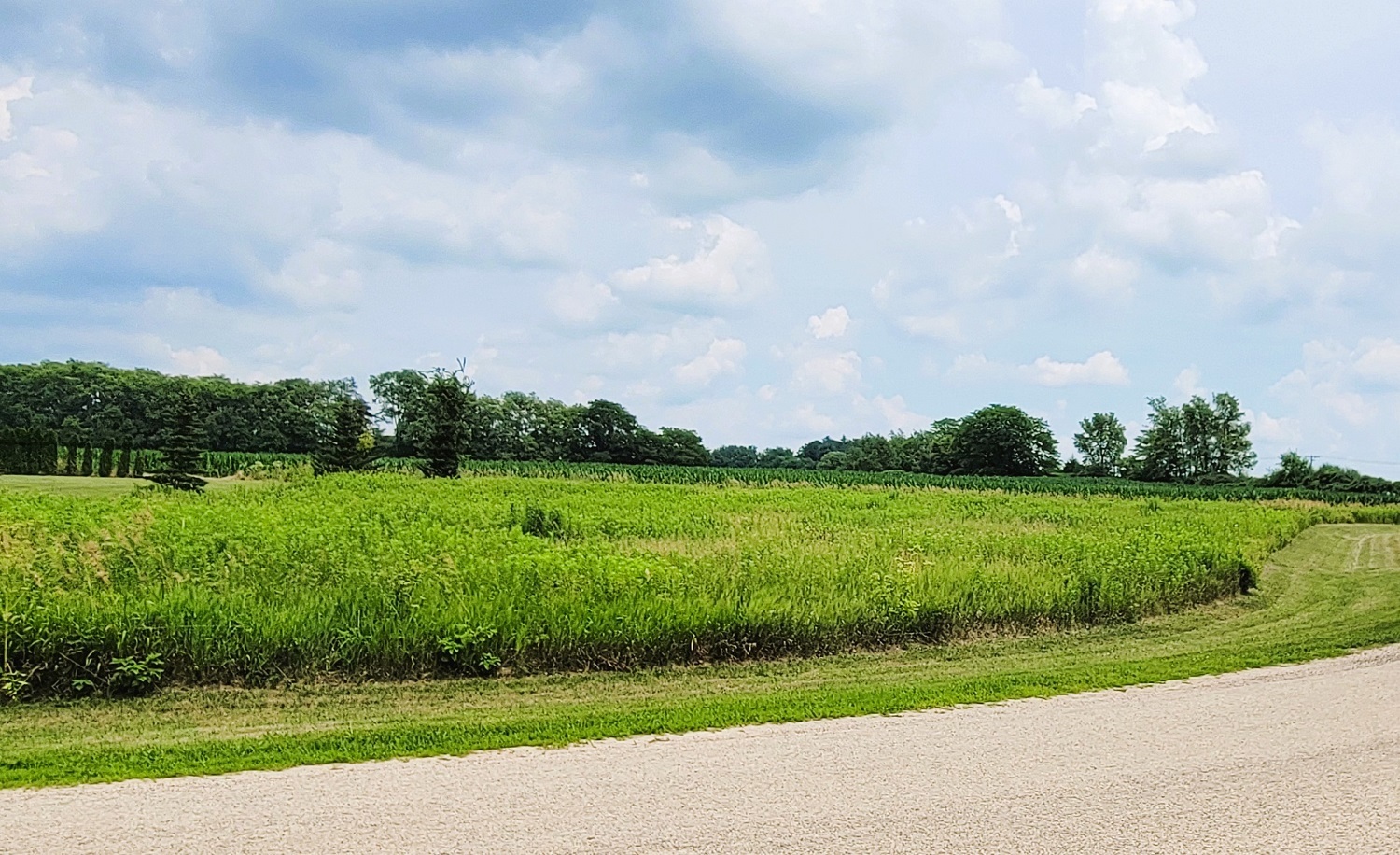 7961 S Tampam Drive, Dixon, IL