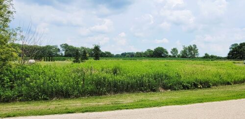 7961 S Tampam Drive, Dixon, IL