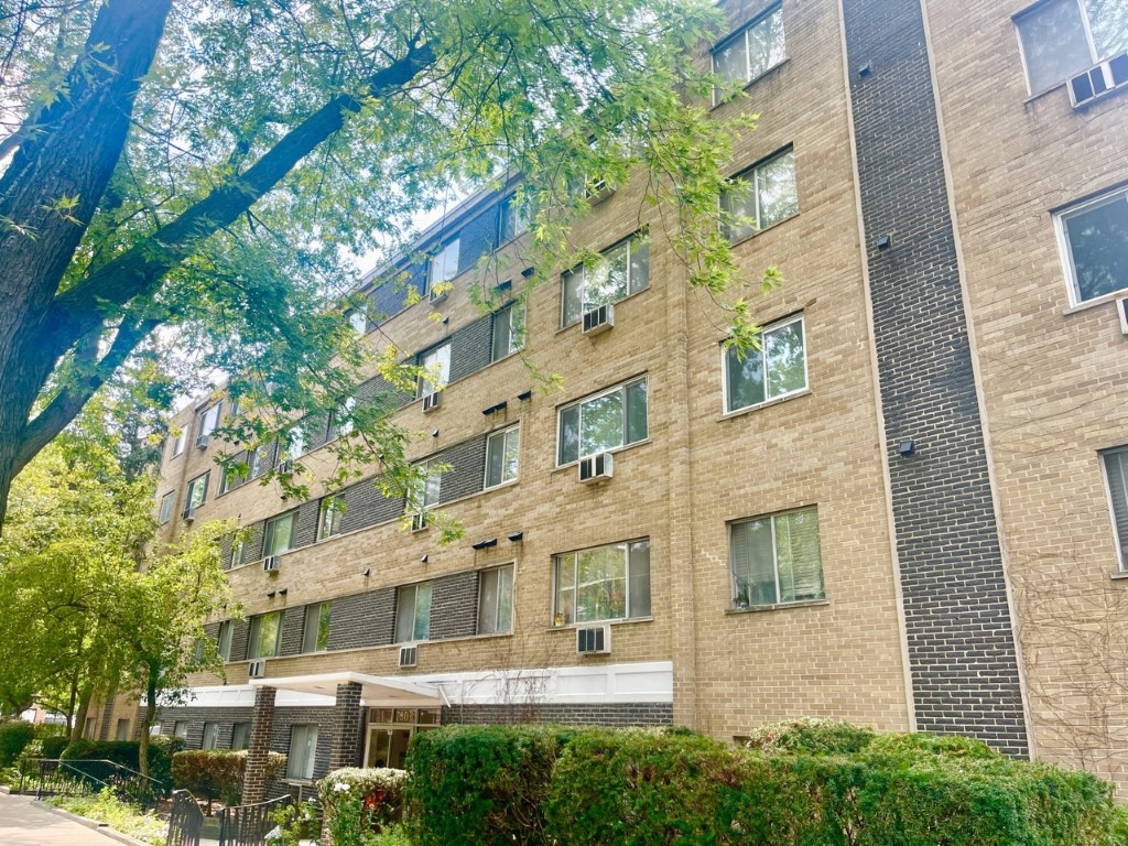 7306 N WINCHESTER Avenue #205, Chicago, IL