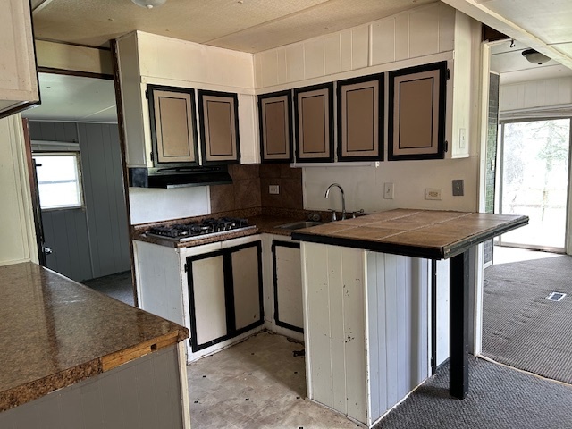 116 English Street, Braidwood, IL