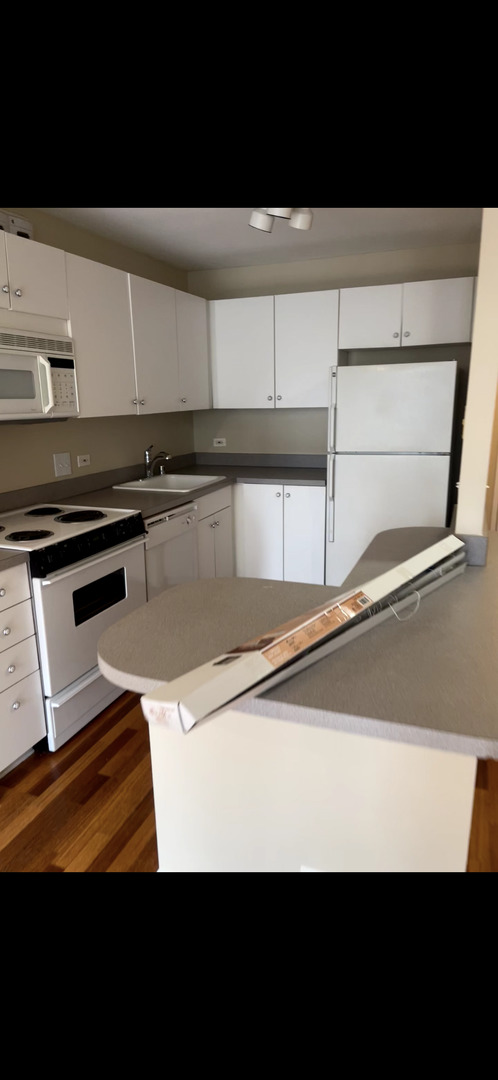 405 N Wabash Avenue #308, Chicago, IL