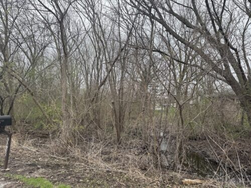 22828 Frederick Road, Steger, IL