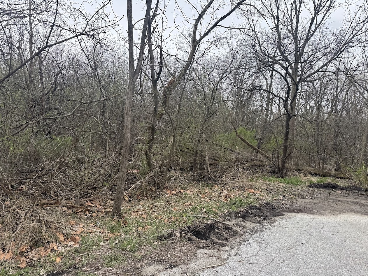 22828 Frederick Road, Steger, IL