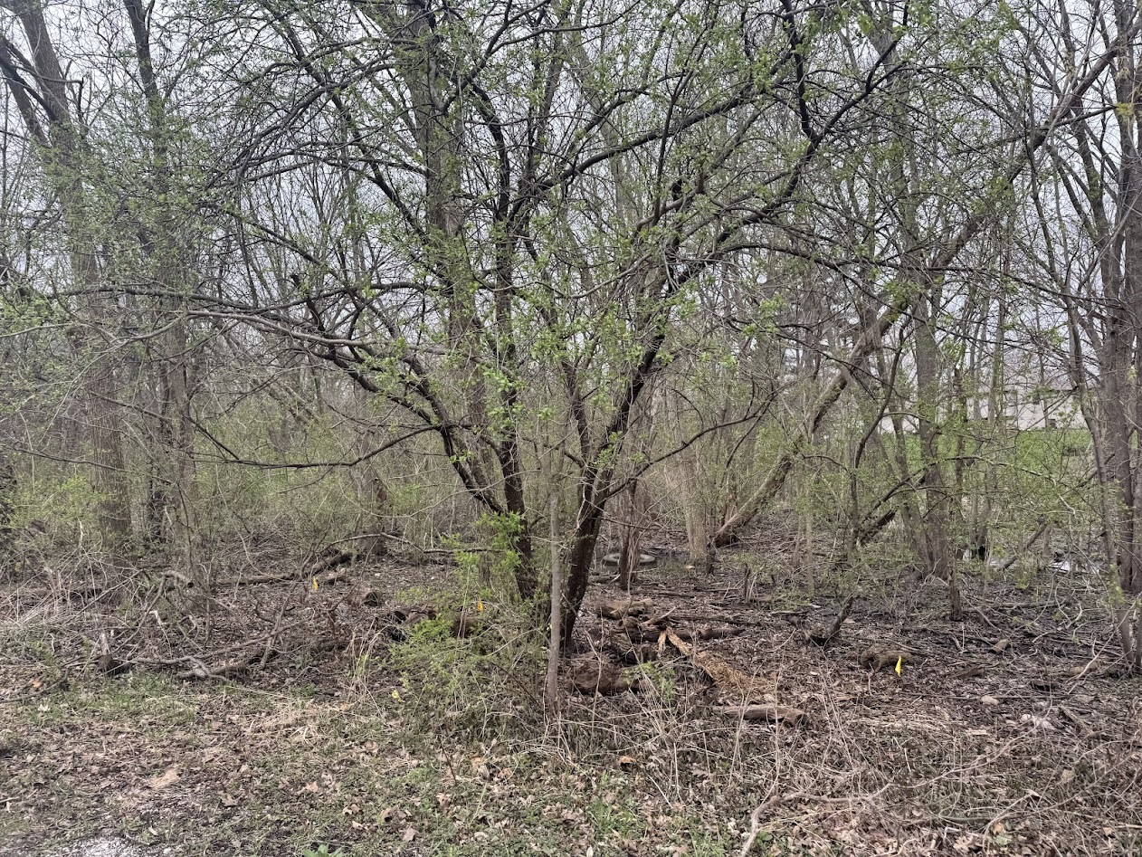 22828 Frederick Road, Steger, IL