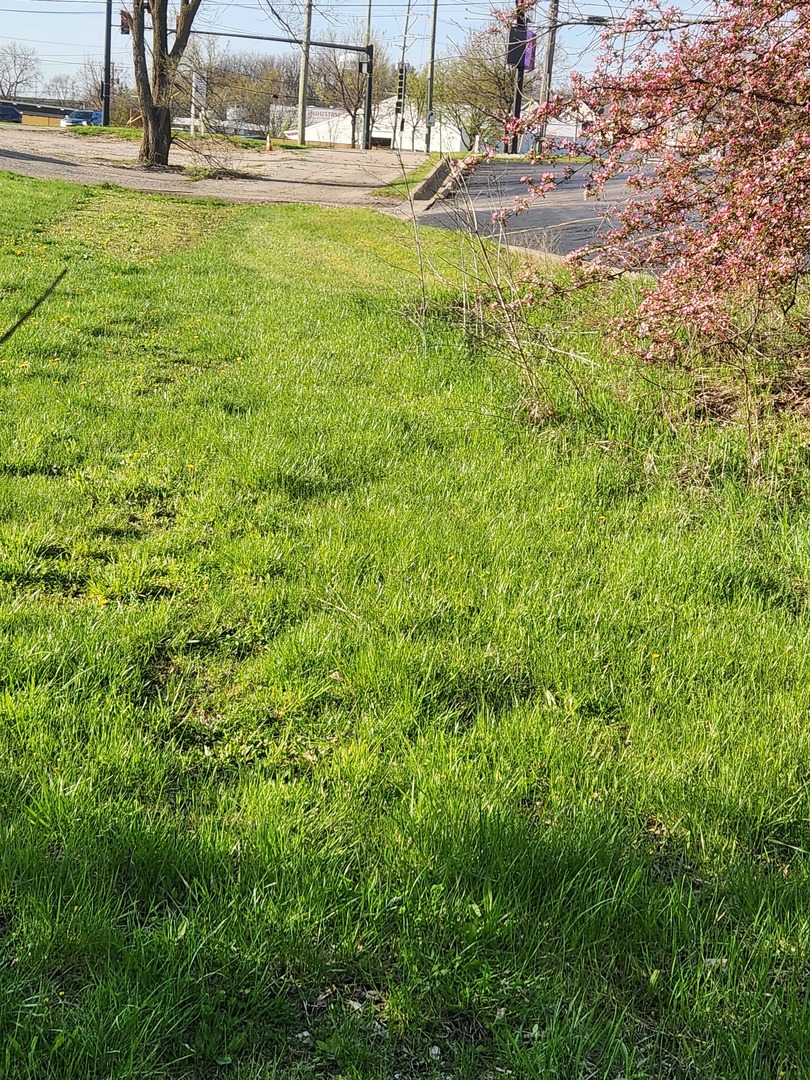 Lot 1 West Elm Street, McHenry, IL