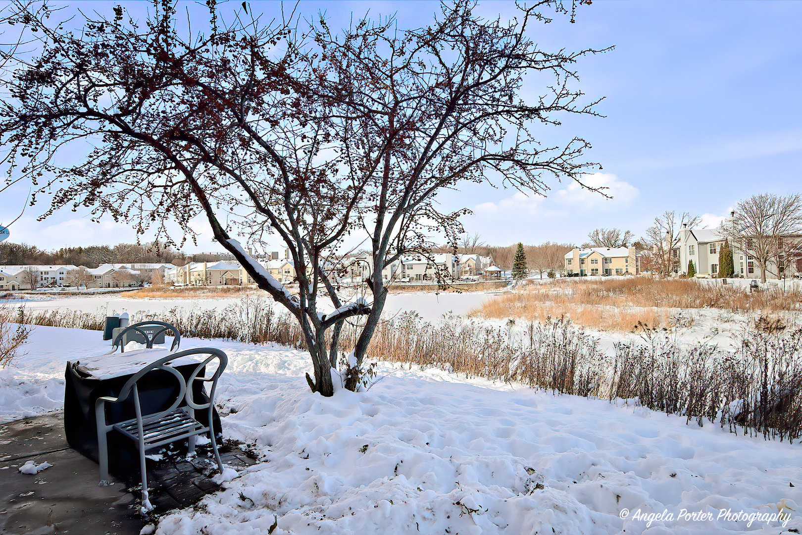 620 W Bayou Court, Fox Lake, IL