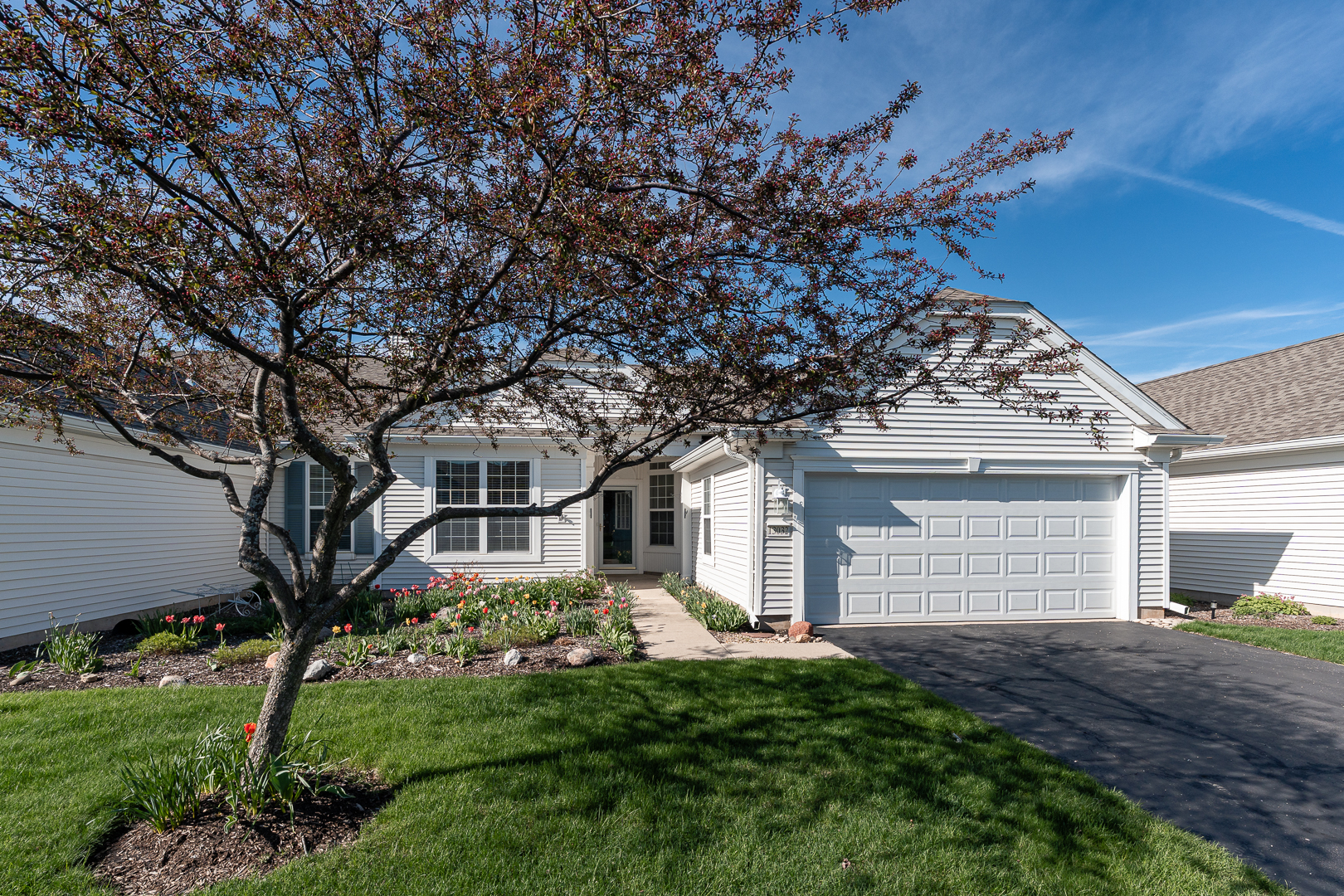 13032 Briargate Drive #13032, Huntley, IL
