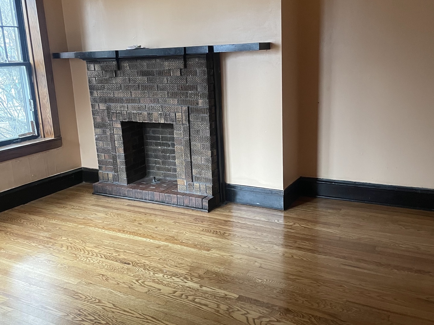 6523 S Evans Avenue, Chicago, IL