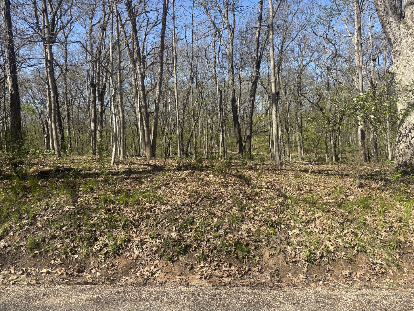 1618 Tanglewood Drive, Varna, IL