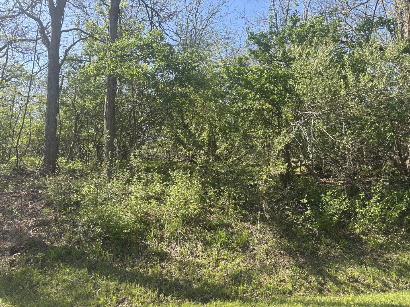 530 Rollingwood Place, Varna, IL