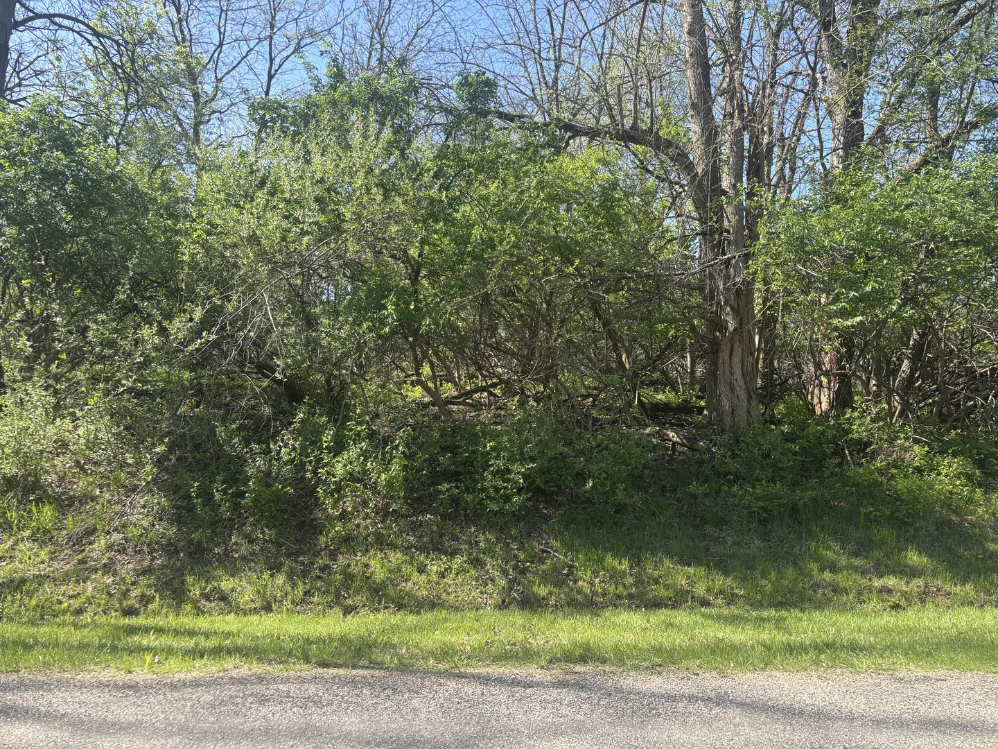 530 Rollingwood Place, Varna, IL