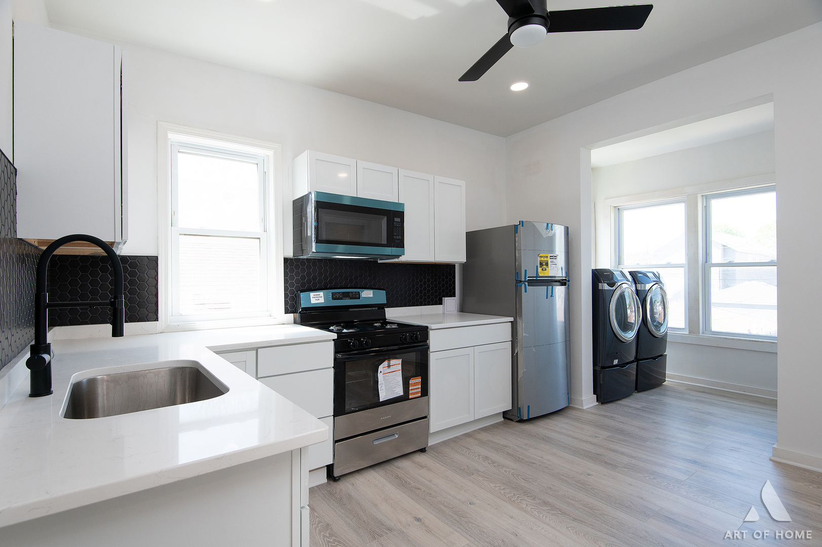 2110 N mango Avenue, Chicago, IL