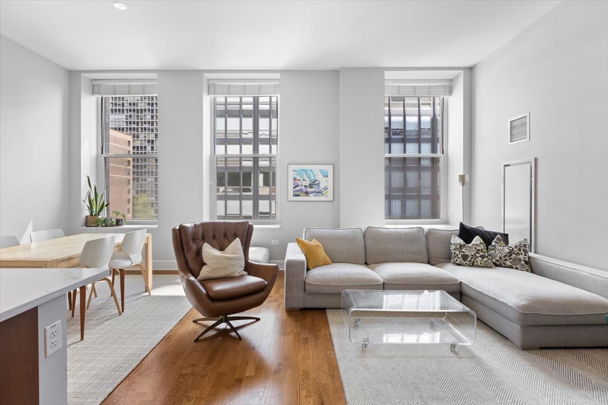 850 N Lake Shore Drive #510, Chicago, IL