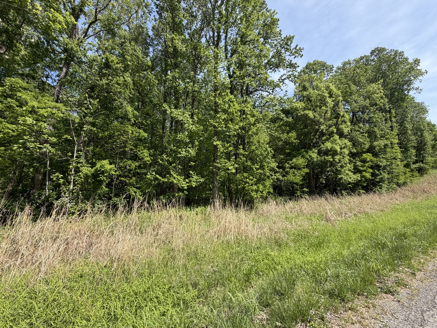 0000 Tower Rock Road, Elizabethtown, IL