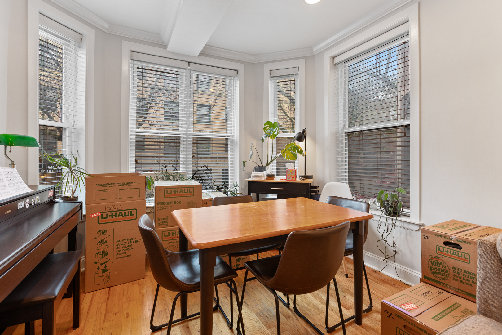 945 W GORDON Terrace #1E, Chicago, IL