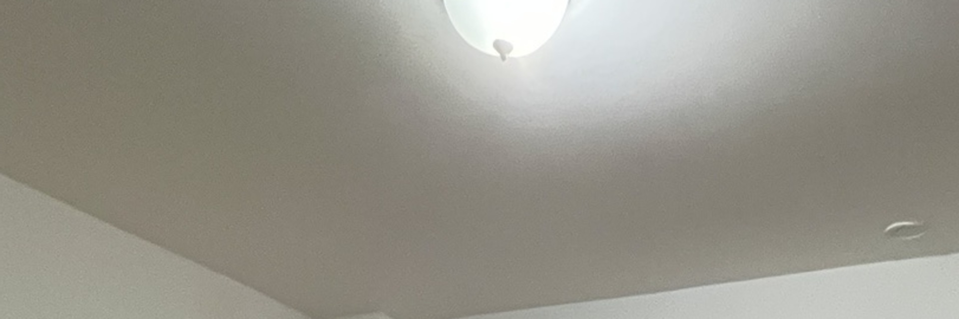 13841 Forest Avenue, Dolton, IL