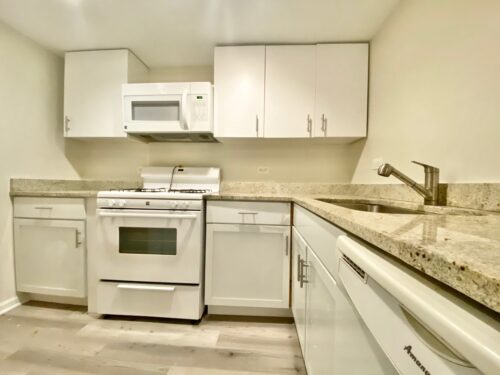 1732 W 18th Place #GR, Chicago, IL