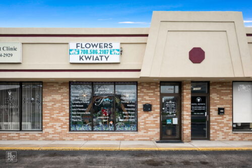 10502 S Roberts Road, Palos Hills, IL