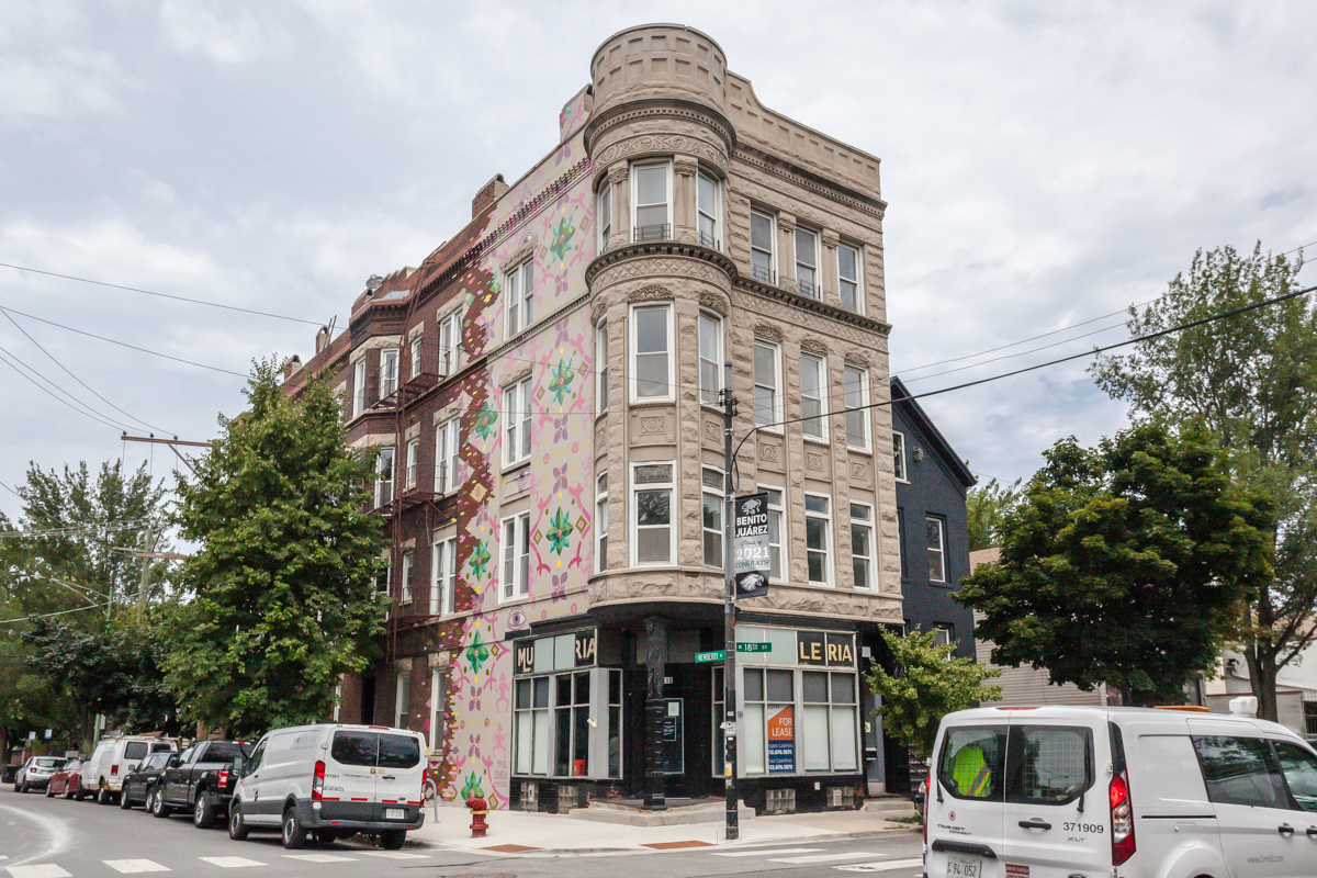 818 W 18th Street #4M, Chicago, IL