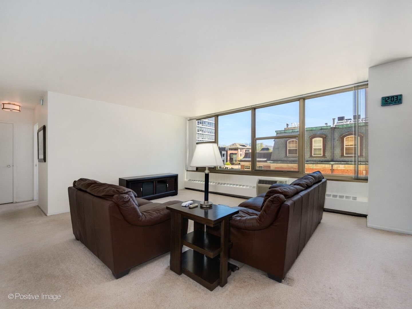360 W Wellington Avenue #3C, Chicago, IL