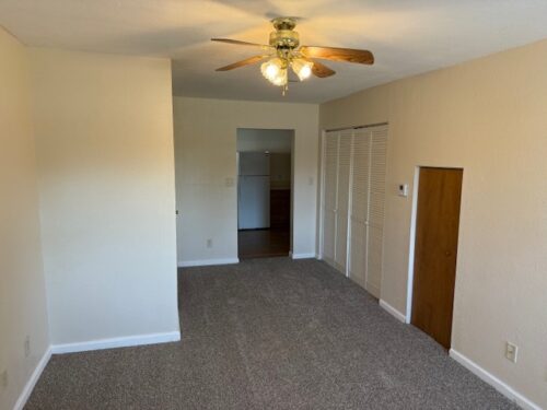 312 E HESTER Street, Carbondale, IL