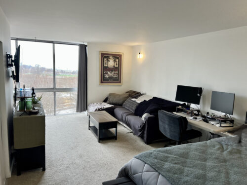 1555 N Dearborn Parkway #8C, Chicago, IL