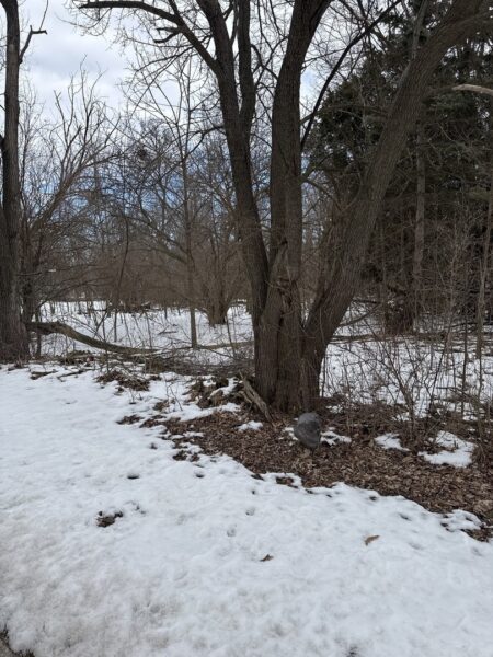 1601 Faithorn Avenue, Crete, IL